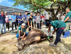 Rutan Kelas I Bandar Lampung Laksanakan Pemotongan Hewan Qurban Idul Adha 1447 H