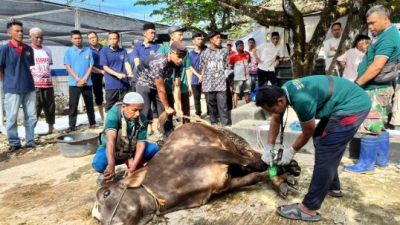Rutan Kelas I Bandar Lampung Laksanakan Pemotongan Hewan Qurban Idul Adha 1447 H
