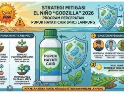 Pemprov Lampung Matangkan Strategi Antisipasi El Nino untuk Jaga Produktivitas Pertanian