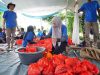 Pertamina Patra Niaga Regional Sumbagsel Salurkan 56 Sapi dan 29 Kambing pada Idul Adha 1447 H