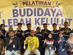 Pertamina Patra Niaga Hadirkan Peluang Usaha Ramah Lingkungan Melalui Budidaya Lebah Kelulut
