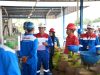 Pertamina Patra Niaga Regional Sumbagsel Perkuat Komitmen Keselamatan dan Keandalan Operasional Melalui Inspeksi SPBE & BPT di Lampung