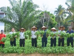 Lapas Muara Tebo Panen Kangkung Hasil Pembinaan Kemandirian Warga Binaan