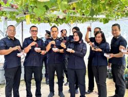 Sukses Panen Anggur Merah Hidroponik, Kalapas Beserta Jajaran Lapas Kelas I Bandar Lampung Apresiasi Karya Nyata Hasil Warga Binaan