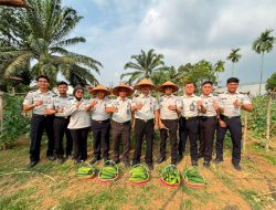 Lapas Muara Tebo Kembali Panen Mentimun Hasil Pembinaan Kemandirian Warga Binaan
