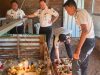 Perkuat Pembinaan Kemandirian, Lapas Makassar  Gelar Kegiatan Chick In 306 Ekor Bibit Ayam DOC