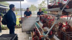 Rutan Bandar Lampung Perkuat Ketahanan Pangan Lewat Budidaya 250 Ayam Petelur