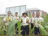 Kalapas Sastra Irawan Beserta Jajaran Lapas Gunung Sugih Gelar Panen Jagung Sebagai Wujud Nyata Dukung Ketahanan Pangan
