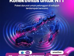 Pasca Gempa di Nusa Tenggara Timur XLSMART Percepat Pemulihan Jaringan Layanan Berangsur Pulih