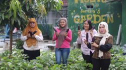 Lapas Perempuan Bandar Lampung Panen Pakcoy dan Terong sebagai Wujud Dukungan Terhadap Ketahanan Pangan