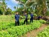 Lapas Muara Tebo Panen Ratusan Ikat Kangkung Hasil Pembinaan Kemandirian Hasil Karya Warga Binaan