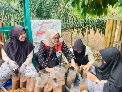 Pertamina Patra Niaga Regional Sumbagsel Sulap Limbah Serbuk Bambu Menjadi Peluang Usaha Melalui Budidaya Jamur Tiram