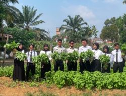 Lapas Muara Tebo Panen 70 Ikat Bayam Sebagai Bukti Produktivitas Warga Binaan Dalam Dukung Ketahanan Pangan