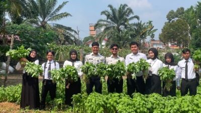 Lapas Muara Tebo Panen 70 Ikat Bayam Sebagai Bukti Produktivitas Warga Binaan Dalam Dukung Ketahanan Pangan