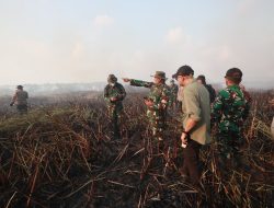 Gubernur Mirza Pastikan Penanganan Kebakaran di Braja Harjosari Terkendali, Tim Gabungan Cegah Api Masuk TN Way Kambas