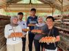 Lapas Muara Tebo Dukung Ketahanan Pangan Melalui Panen Telur Ayam