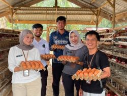 Lapas Muara Tebo Dukung Ketahanan Pangan Melalui Panen Telur Ayam