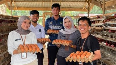 Lapas Muara Tebo Dukung Ketahanan Pangan Melalui Panen Telur Ayam
