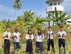 Hasil Pembinaan Kemandirian Warga Binaan, Petugas Lapas Ampana Panen 17 Kg Terong Perkuat Ketahanan Pangan