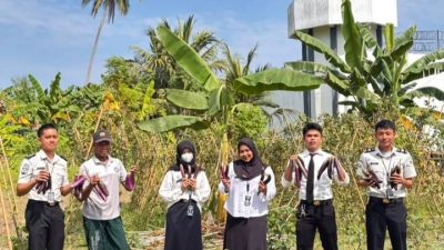 Hasil Pembinaan Kemandirian Warga Binaan, Petugas Lapas Ampana Panen 17 Kg Terong Perkuat Ketahanan Pangan