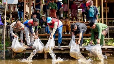 Hidupkan Kembali Wisata Lubuk Penyengat, Pertamina Patra Niaga Regional Sumbagsel Dorong Ekonomi dan Pelestarian Budaya Sungai