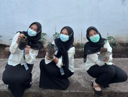 Lapas Kalianda Tanam Bibit Cabai, Dorong Pembinaan Kemandirian Warga Binaan