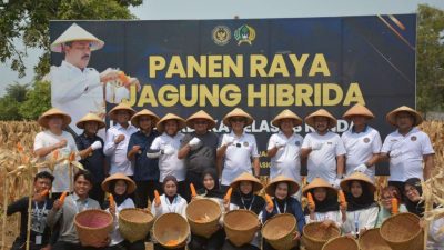 Sekjen Kemenimipas Panen Jagung Bersama Jajaran di Lapas Terbuka Kendal