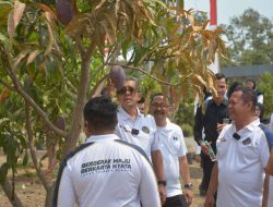 Sekjen Kemenimipas Tinjau Mangga Premium Red Ivory dan Yuwen di Lapas Terbuka Kendal