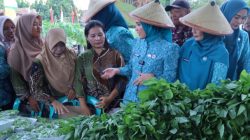 TP. PKK Provinsi Lampung Dorong Desa TAPIS Jadi Penggerak Ekonomi dan Ketahanan Keluarga