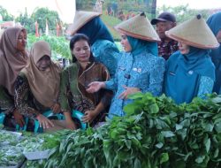 TP. PKK Provinsi Lampung Dorong Desa TAPIS Jadi Penggerak Ekonomi dan Ketahanan Keluarga