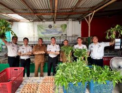Perkuat Ketahanan Pangan, Lapas Martapura Sukses Panen Hasil Pertanian serta Perikanan dan Peternakan