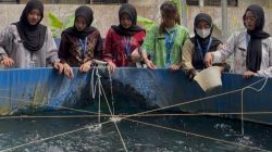 Lapas Kalianda Kembangkan Budidaya Perikanan sebagai Pembinaan Kemandirian Warga Binaan