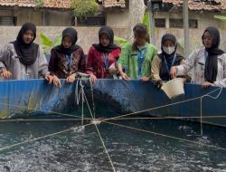 Lapas Kalianda Kembangkan Budidaya Perikanan sebagai Pembinaan Kemandirian Warga Binaan