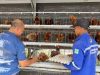 Tak Banyak yang Tahu ! Kebun Inovasi Lapas Cibinong Jadi Tempat Warga Binaan Siapkan Bekal Usai Bebas