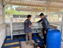 Pastikan Pembinaan Berjalan Optimal, Kepala Lapas Terbuka Kendal Rutin Monitoring Area Kemandirian