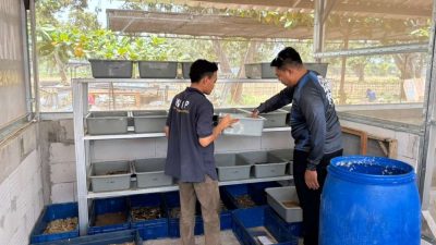 Pastikan Pembinaan Berjalan Optimal, Kepala Lapas Terbuka Kendal Rutin Monitoring Area Kemandirian