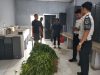 Rawat Tanaman dan Panen Hasil Budidaya, Lapas Kalianda Dorong Kemandirian Warga Binaan
