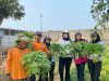 Warga Binaan Lapas Terbuka Kendal Panen Kangkung dan Daun Singkong