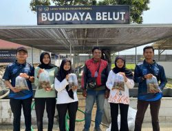 Integrated Farm Makin Produktif, Lapas Terbuka Kendal Mulai Budidaya Belut