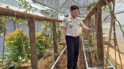 Kembangkan Budidaya Vanili, Warga Binaan Lapas Kelas I Bandar Lampung Ikuti Program Pembinaan Kemandirian