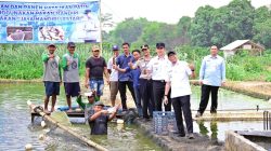 Budidaya Patin Pokdakan Jaya Mandiri Lestari Berkembang hingga 2,5 Hektare, Gubernur dan Bupati Apresiasi Inovasi Pakan Mandiri