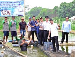 Budidaya Patin Pokdakan Jaya Mandiri Lestari Berkembang hingga 2,5 Hektare, Gubernur dan Bupati Apresiasi Inovasi Pakan Mandiri