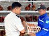 Panen Telur di Lapas Cibinong, Warga Binaan Dibekali Keterampilan Beternak Ayam untuk Masa Depan