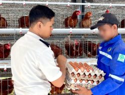 Panen Telur di Lapas Cibinong, Warga Binaan Dibekali Keterampilan Beternak Ayam untuk Masa Depan