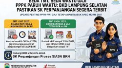 Beda TMT dan Beda Waktu Gaji PPPK Paruh Waktu, BKD Lampung Selatan Pastikan SK Perpanjangan Segera Terbit