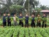 Bukti Nyata Pembinaan Kemandirian, Kalapas Muara Tebo Beserta Jajaran Panen Kangkung Hasil Budidaya Warga Binaan