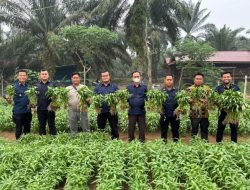 Bukti Nyata Pembinaan Kemandirian, Kalapas Muara Tebo Beserta Jajaran Panen Kangkung Hasil Budidaya Warga Binaan