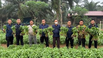 Bukti Nyata Pembinaan Kemandirian, Kalapas Muara Tebo Beserta Jajaran Panen Kangkung Hasil Budidaya Warga Binaan