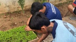 Melalui Pembibitan Pakcoy, Lapas Kalianda Dukung Program Percepatan Aksi Kemenimipas