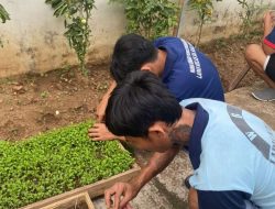 Melalui Pembibitan Pakcoy, Lapas Kalianda Dukung Program Percepatan Aksi Kemenimipas